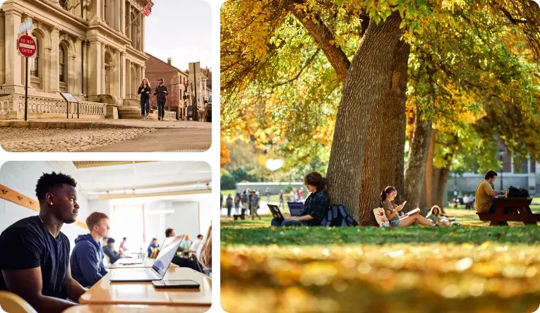 portland streets a park and students studying at their laptops